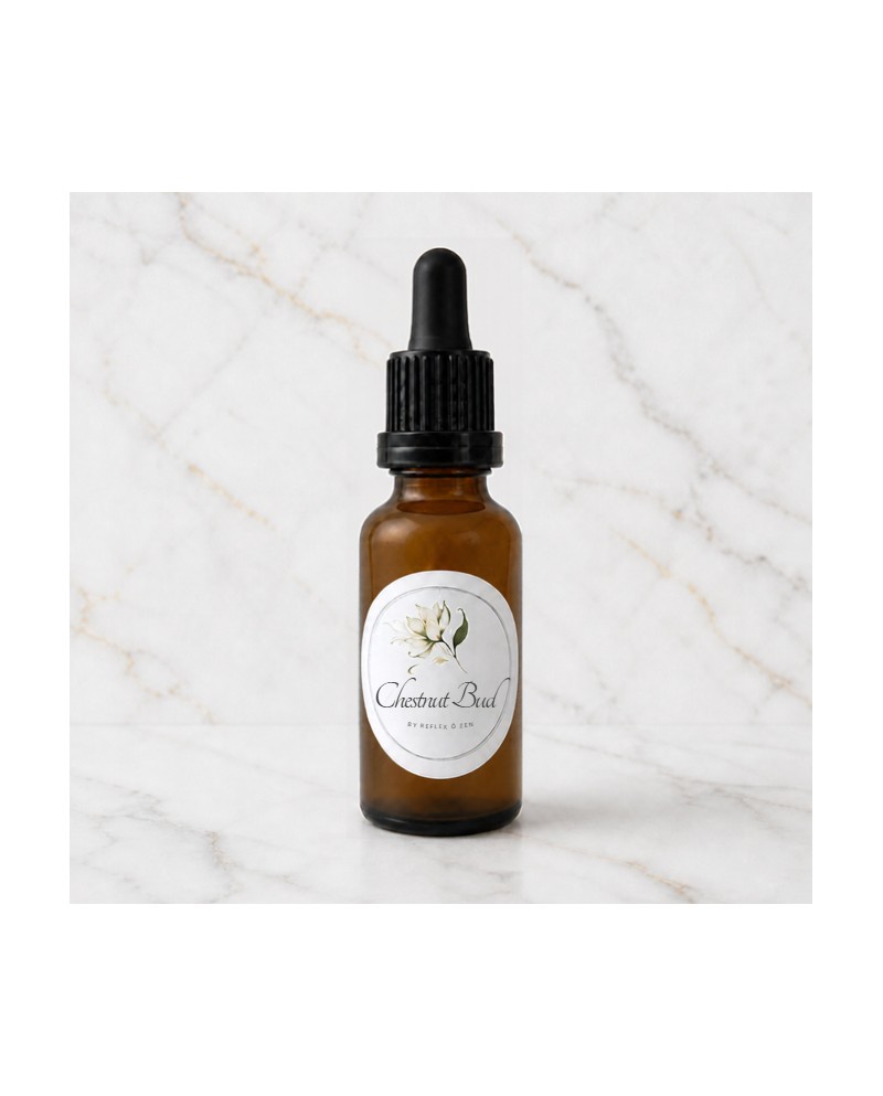 Fleur de Bach N°07 - Chestnut Bud / Marron - 1