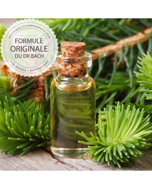 Elixir sur mesure